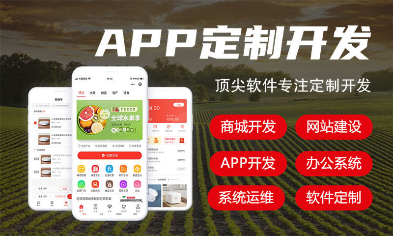 苏州三三复制公排商城app开发：数字化转型的高效解决方案