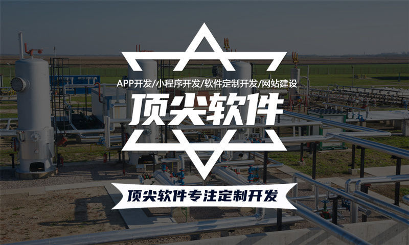 佛山二二复制大公排小程序系统开发软件：助力企业数字化转型的高效解决方案