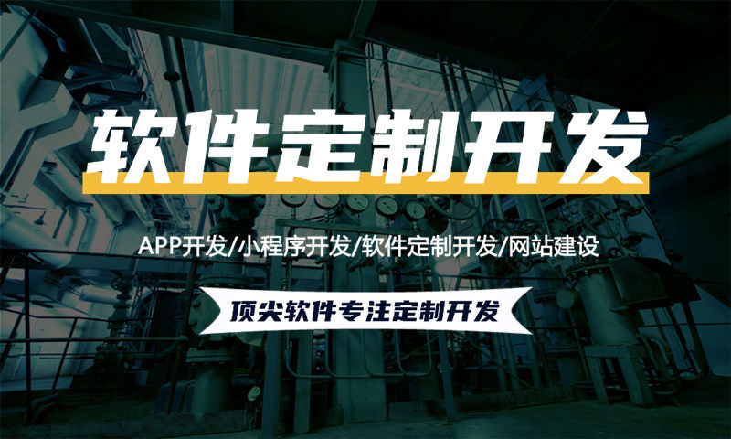 武汉全域购5.0小程序开发：解决企业数字化转型难题的高效解决方案