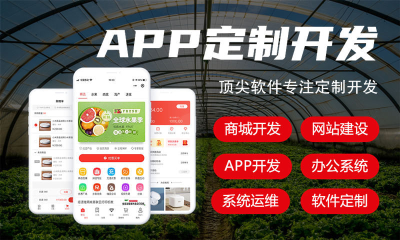 东莞企业数字化转型利器：链动2+1系统软件开发（商城小程序）解决方案