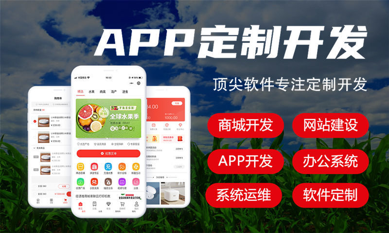 济南三三复购见单商城系统搭建开发：助力企业高效运营的数字化转型利器