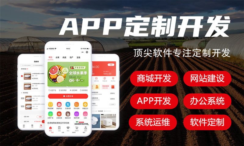 济南元气鲜锋排队免单模式软件开发，助力企业数字化转型