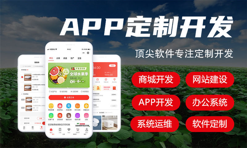 佛山甄视康新零售系统模式(软件商城)开发:数字化转型的高效解决方案